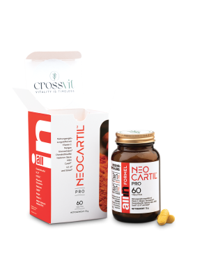 SB NEOCARTIL PRO TABLETTEN 60 STÜCK