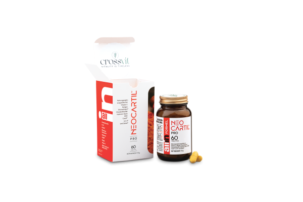 SB NEOCARTIL PRO TABLETTEN 60 STÜCK